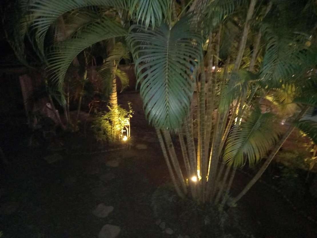 Oasis Palms Hotel Nadi Esterno foto